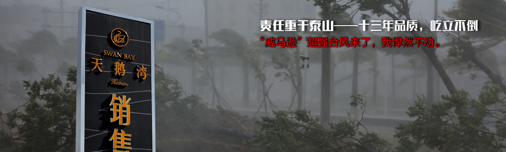 责任重于泰山——十三年品质，屹立不倒